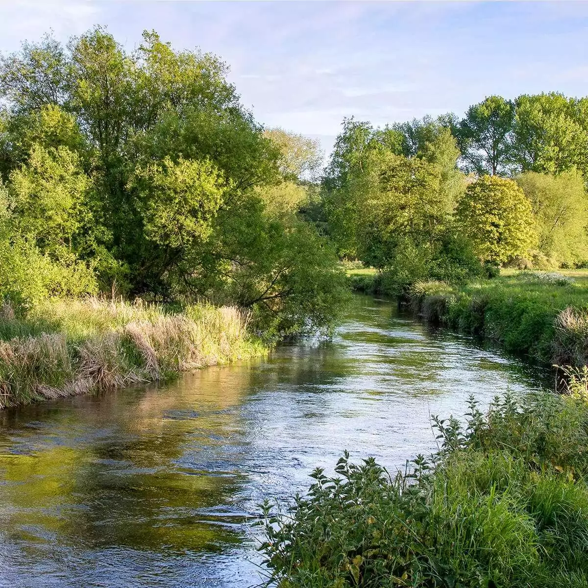 Butler Country Estates lies in the heart of Hampshire just a few minutes from the chalk stream Rivers Test, Itchen and Meon.