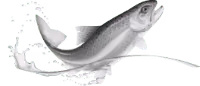 bcelogofish bw 200x86 transparent