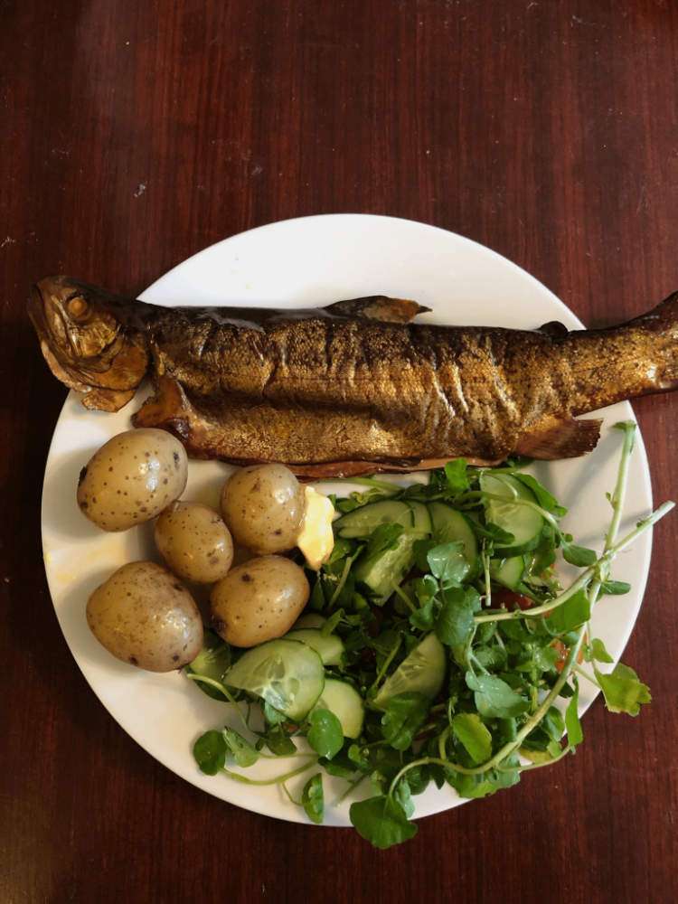 smoked trout meal in a restaurant