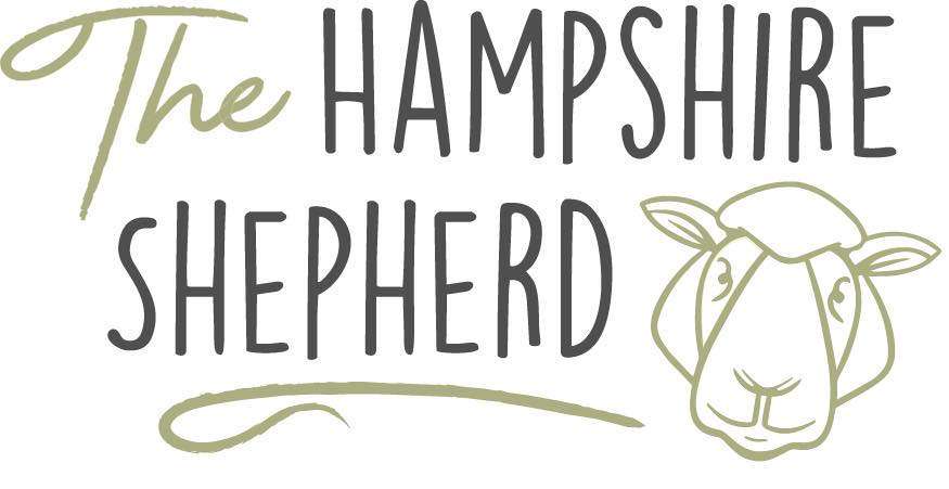 hampshire shepherd