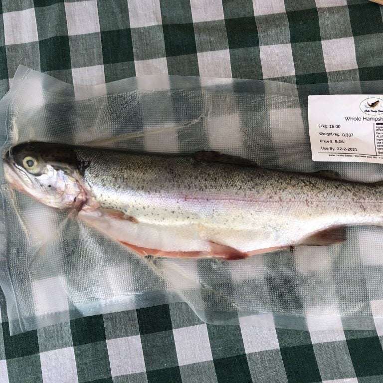 trade fresh hampshire whole trout (per kg)