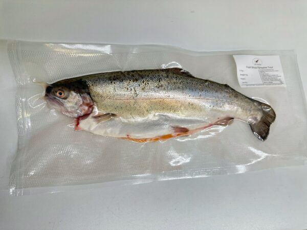 hampshire fresh trout