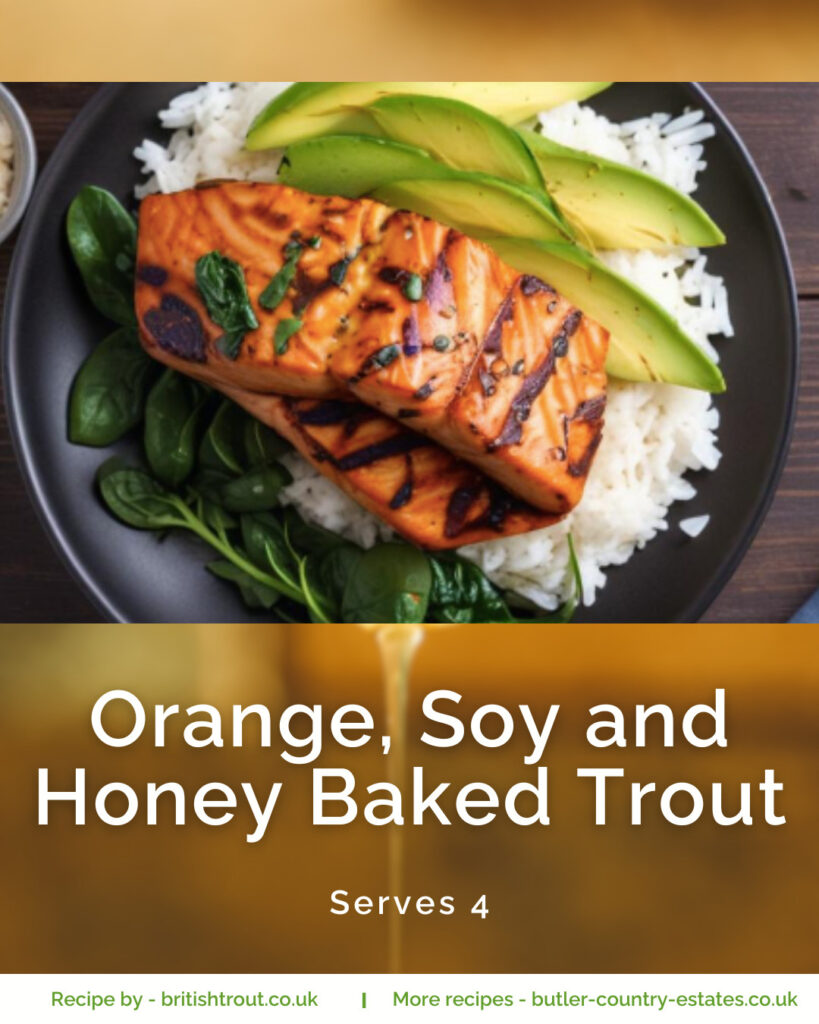 orange, soy and honey baked trout