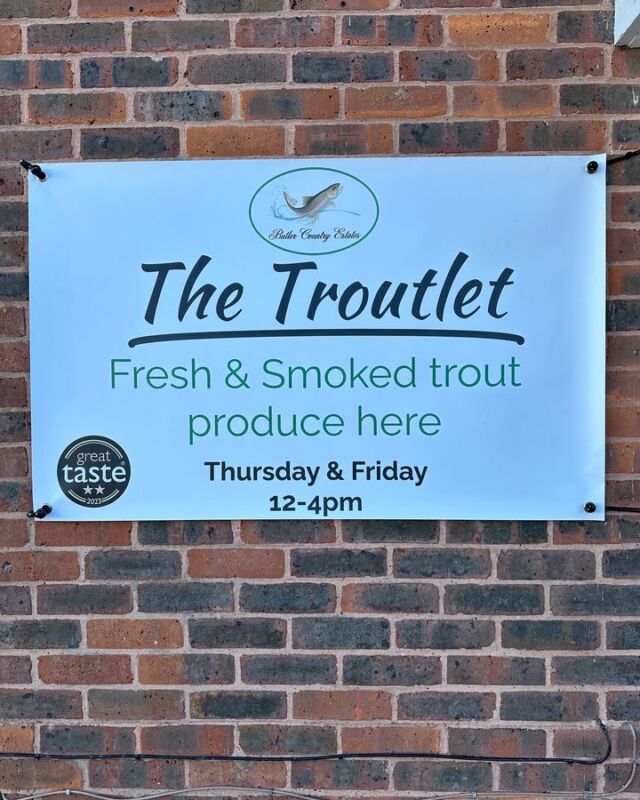 🐟 HAPPY 1ST ANNIVERSARY TO THE TROUTLET 🐟 This time last October, we opened the doors to The Troutlet, and we’ve been swimming in support ever since (pun intended 😁). We want to send our heart felt thanks to every single one of you who has popped by, shopped with us or cheered us on. You’ve made this journey truly amazing! 💚 For those who haven’t had a chance to visit yet: 📆 Thursdays and Fridays ⏰ 12 PM - 4 PM 📍 Location: Butler Country Estates Unit 3B, Wintex House Easton Lane Business Park Winchester, Hampshire, SO23 7RQ Here’s to many more years of great memories at our little shop! 💚