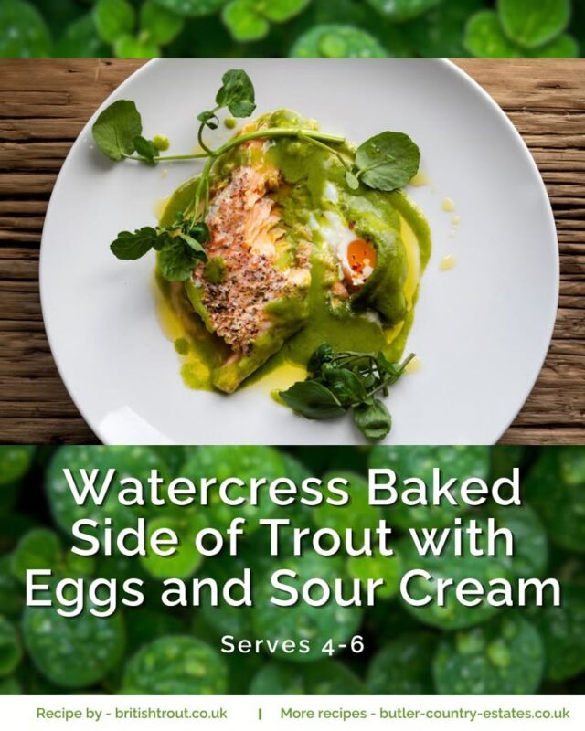🌱 Watercress Baked Side of Trout with Eggs and Sour Cream 🌱 We’re always take recipe inspiration from British Trout because they never miss, and this one is absolutely worth giving a go. Recipe by: britishtrout.co.uk Want to recreate it at home? You can order our trout directly from our website and bring a little magic to your kitchen - butler-country-estates.co.uk 🌱🥚🌿 #hampshiretrout #freshtrout #smokedtroutpate #freshsmokedtroutpate #smokedfish #smallbusiness #supportlocal #buylocal #localproduce #localmarket